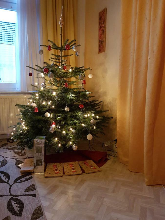 Brockenferien Appartement Bad Harzburg Buitenkant foto